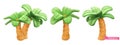 Palm trees cartoon. Royalty Free Stock Photo