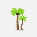 Palm trees in cartoon style isolated on white background Vector Illustration. Tropical summer tree plant on nature for Royalty Free Stock Photo