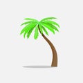 Palm trees in cartoon style isolated on white background Vector Illustration. Tropical summer tree plant symbol Royalty Free Stock Photo