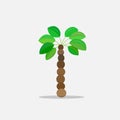 Palm trees in cartoon style isolated on white background Vector Illustration. Tropical summer tree plant on nature for Royalty Free Stock Photo