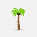 Palm trees in cartoon style on white background Vector Illustration. Tropical summer tree plant on nature for Royalty Free Stock Photo