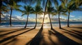 Palm Trees Cast Long Shadows on a Sandy Beach at Sunset Royalty Free Stock Photo