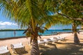 Palm trees and chairs in Belize Royalty Free Stock Photo