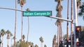 Palm trees in city near Los Angeles, street road sign, semaphore traffic lights.