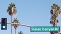 Palm trees in city near Los Angeles, street road sign, semaphore traffic lights.