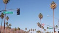 Palm trees in city near Los Angeles, street road sign, semaphore traffic lights.