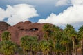Palm trees and clouds at Papago Park Phoenix Arizona Royalty Free Stock Photo