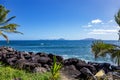 Palm trees on the coast of Basse-Terre, Trois Rivieres, Guadeloupe, Lesser Antilles, Caribbean