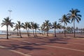 Palm Trees and Coastal Blue Sky Beachfront Landscape Royalty Free Stock Photo