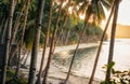 Palm trees on Coconut Beach in Port Barton, Palawan, Philippines Royalty Free Stock Photo