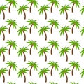 Palm trees with coconuts, seamless pattern. Background with coconut palms, vector.