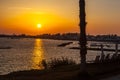 Palm trees on coean shore at sunset