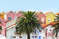 Palm trees among colored houses