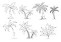 Palm trees coloring book. Beautiful vectro palma tree set vector illustration