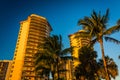 Palm trees and condo towers in Singer Island, Florida.