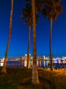 Palm trees in Coronado island Royalty Free Stock Photo