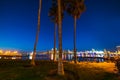 Palm trees in Coronado island Royalty Free Stock Photo