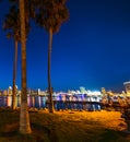 Palm trees in Coronado island Royalty Free Stock Photo