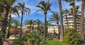 Palm trees on the Croisette in Cannes city. Cannes is a beautiful city on the Cote d`Azur.