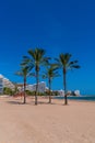 Palm trees Cullera beach Spain beautiful tourist destination on the Mediterranean Sea Royalty Free Stock Photo