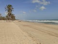 Palm trees on Cumbuco beach in the afternoon. Royalty Free Stock Photo