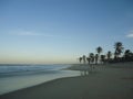 Palm trees on Cumbuco beach in the evening. Royalty Free Stock Photo