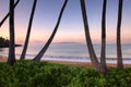 Palm trees at dawn on Ulua Beach, Maui, Hawaii Royalty Free Stock Photo