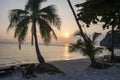 Palm trees and deck chairs on beach at sunset, Koh Pha Ngan, Thailand Royalty Free Stock Photo