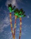 Palm trees decorated with christmas lights against a blue cloudy sky Royalty Free Stock Photo