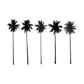 Palm trees Royalty Free Stock Photo