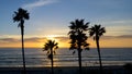 Palm trees at dusk on Pacific Beach Royalty Free Stock Photo