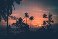 Palm trees enjoying the spectacular sunset in Jauai, US Royalty Free Stock Photo