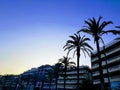 Palm trees in the evening sky. Spanish sunset. Royalty Free Stock Photo