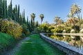 Palm trees, firs and lagoon in a garden