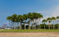 The Palm trees in the Flamengo Park Parque do Flamengo and Sugar Loaf Mountain. Rio de Janeiro, Brazil.