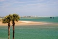 Palm trees and Florida bay Royalty Free Stock Photo