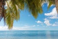 palm trees foreground on calm tropical turquoise water background,