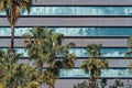 Palm trees in front of the facade of an office building Royalty Free Stock Photo