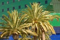 Palm trees in front of a green and blue building in Los Angeles