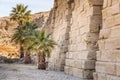 Palm trees in front of the Karnak temple, Egypt Royalty Free Stock Photo