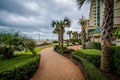 Palm trees and gardens along a walkway in Virginia Beach, Virgin