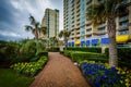 Palm trees and gardens along a walkway in Virginia Beach, Virgin