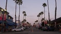 Palm trees and garlands, pacific coast tropical beach resort. Evening twilight city California USA