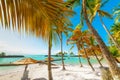 Palm trees and golden sand in Bas du Fort beach in Guadeloupe Royalty Free Stock Photo