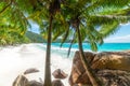 Palm trees and granite rocks in Anse Lazio beach Royalty Free Stock Photo