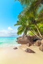Palm trees and granite rocks by the sea in Anse Lazio beach Royalty Free Stock Photo