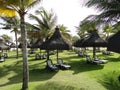 Palm trees, grass, sun loungers and parasols on Cumbuco beach Royalty Free Stock Photo