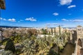 Palm trees, green vegetation and a part of the city of Cordoba Spain