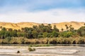 Palm trees and greenery on the banks of the River Nile in Egypt Royalty Free Stock Photo