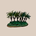 Palm trees group isolated on light background. Vector illustration. Hand drawn sketch